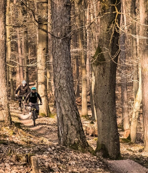 © DAV AB Moutenbiker am Hahnenkamm | © DAV AB
